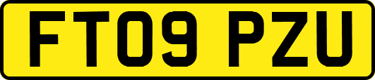 FT09PZU