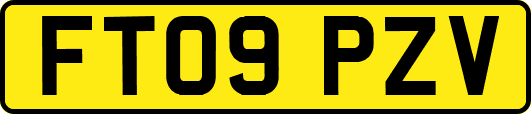 FT09PZV