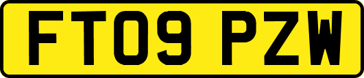 FT09PZW