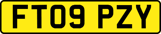 FT09PZY