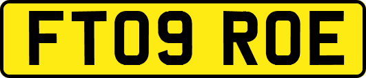 FT09ROE