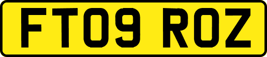 FT09ROZ