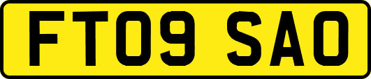 FT09SAO