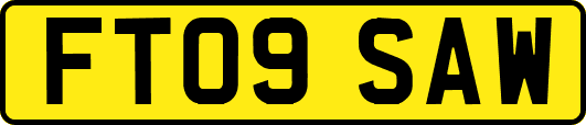 FT09SAW