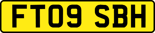 FT09SBH
