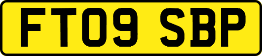 FT09SBP