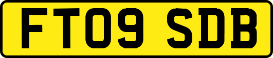 FT09SDB