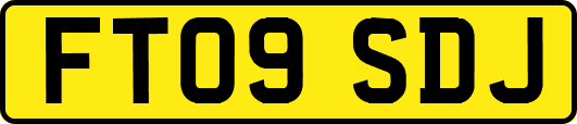 FT09SDJ