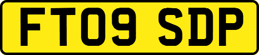 FT09SDP
