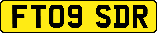 FT09SDR