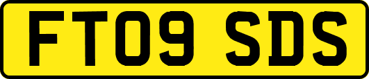 FT09SDS