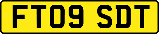 FT09SDT