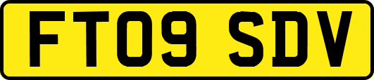 FT09SDV
