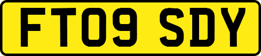 FT09SDY