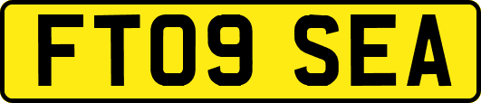 FT09SEA