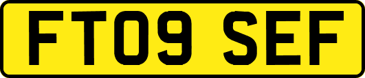 FT09SEF