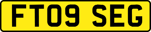 FT09SEG