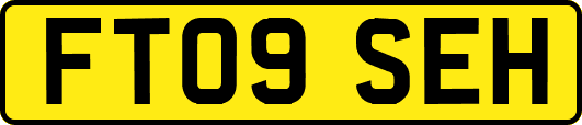 FT09SEH