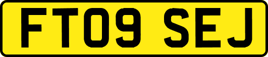FT09SEJ