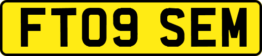 FT09SEM