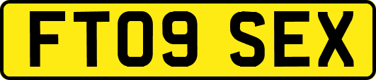 FT09SEX