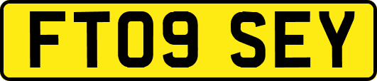 FT09SEY