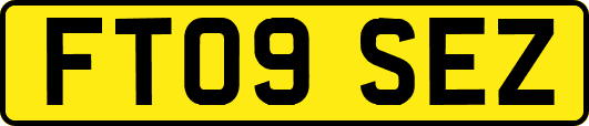 FT09SEZ