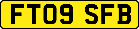FT09SFB