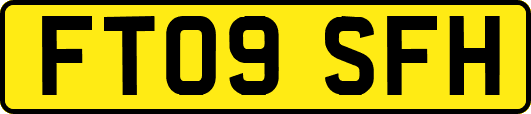FT09SFH