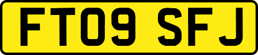 FT09SFJ