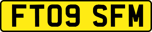 FT09SFM