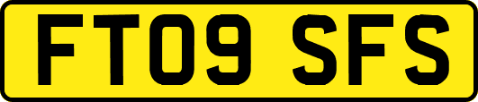 FT09SFS