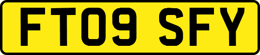 FT09SFY
