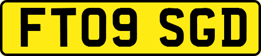 FT09SGD