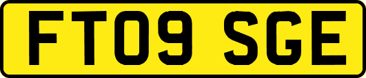 FT09SGE