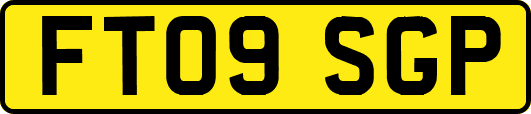 FT09SGP