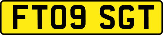 FT09SGT