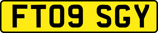 FT09SGY