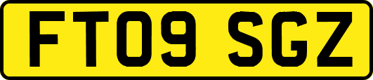 FT09SGZ