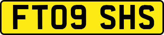 FT09SHS