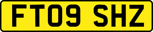 FT09SHZ