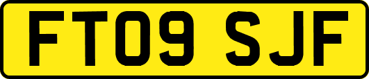 FT09SJF