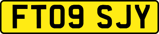 FT09SJY