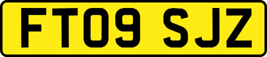 FT09SJZ