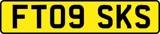 FT09SKS