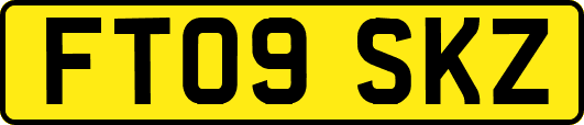 FT09SKZ