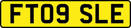 FT09SLE