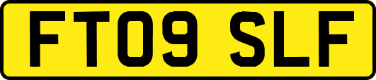 FT09SLF
