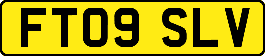 FT09SLV