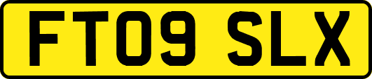 FT09SLX